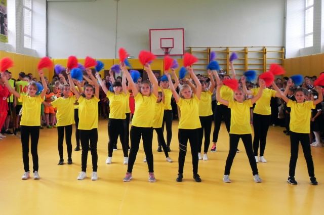 В регионе продолжается реализация проекта «Детский спорт»