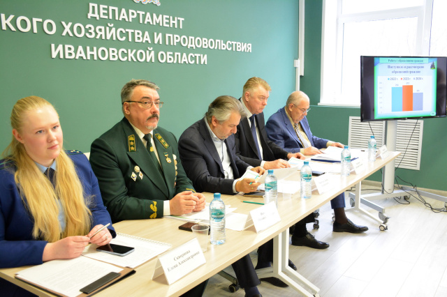 Комитет Ивановской области по лесному хозяйству подвел итоги работы за 2024 год