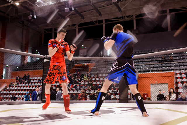 В Иванове прошли соревнования по смешанным боевым единоборствам ММА